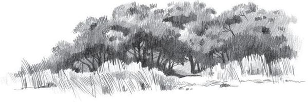 Коллектив авторов - Новый Завет в изложении для детей