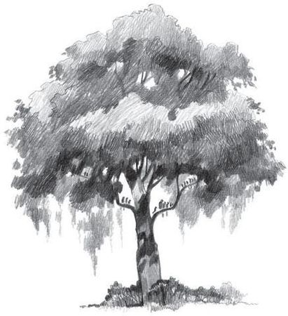 Коллектив авторов - Новый Завет в изложении для детей