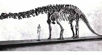 Игорь Акимушкин - Тропою легенд