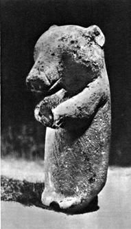Елена Грицак - Популярная история медицины