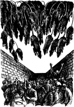 Альбер Камю - Избранное