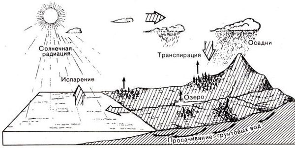 Ричард Флинт - История Земли