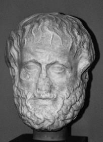 Елена Грицак - Популярная история медицины