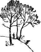 Дмитрий Зуев - Времена года