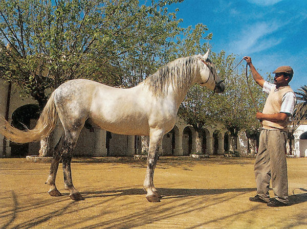 Франк Вельте, Ингольф Верено и др. - Марокко. Путеводитель