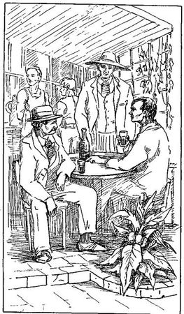 Густав Эмар - Том 20. Фланкер. Новая Бразилия