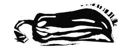 Анна Никольская - Апокалипсис Антона Перчика