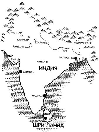 Ян Линдблад - Мир Книги джунглей