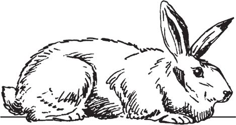 Сергей Кашин - Фермерское хозяйство. Доступное и успешное