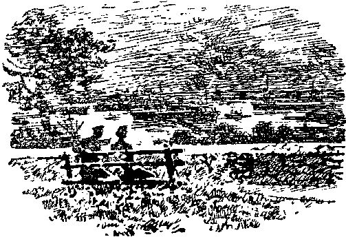 Лев Линьков - Капитан "Старой Черепахи". Повесть