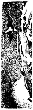 Александр Шалимов - Пленник кратера Арзахеля