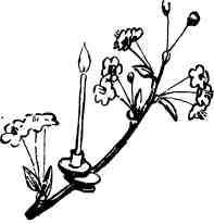 Дмитрий Зуев - Времена года