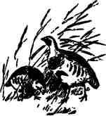 Дмитрий Зуев - Времена года