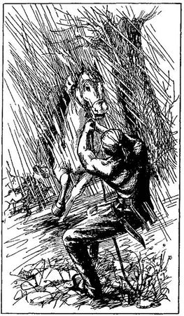 Густав Эмар - Том 20. Фланкер. Новая Бразилия