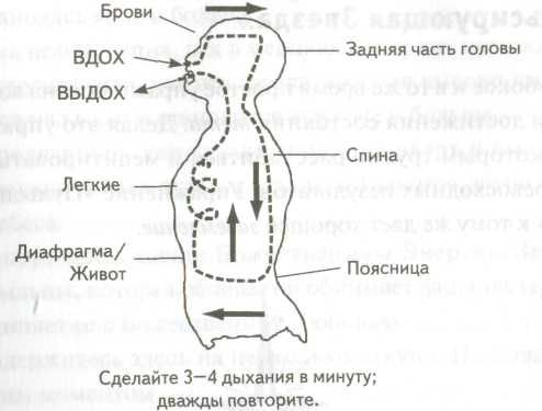 Роберт Джерард - Измени свою ДНК, измени свою жизнь