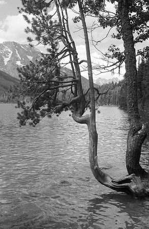 Зинаида Миркина - Дослушанный звук