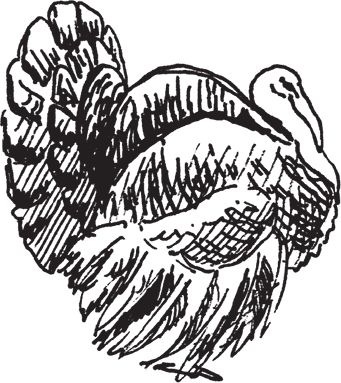 Сергей Кашин - Фермерское хозяйство. Доступное и успешное