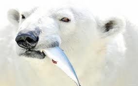 Владимир Гораль - Приключения моряка Паганеля. Завещание Верманда Варда