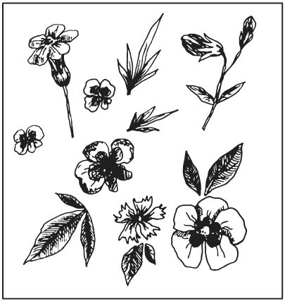 Татьяна Плотникова - Поделки из засушенных цветов и листьев