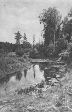 Дмитрий Зуев - Времена года