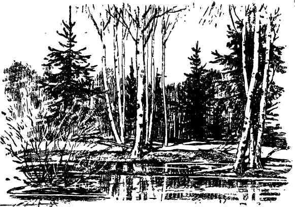 Дмитрий Зуев - Времена года