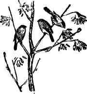 Дмитрий Зуев - Времена года