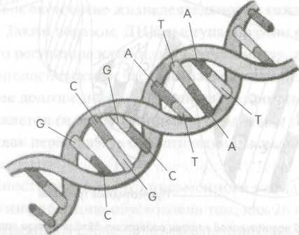 Роберт Джерард - Измени свою ДНК, измени свою жизнь