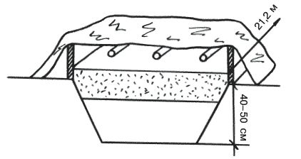 Светлана Ермакова, Светлана Хворостухина - Рассада на вашем участке. Уникальные...
