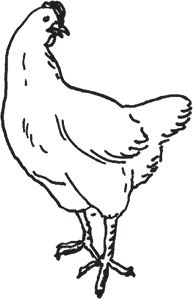 Сергей Кашин - Фермерское хозяйство. Доступное и успешное