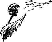 Времена года