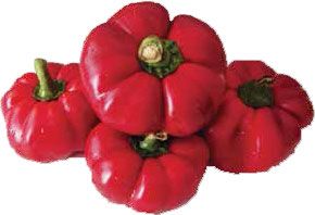 Надежда Бондаренко, Наталья Шинкарёва - Кулинарная энциклопедия. Том 6. Г...