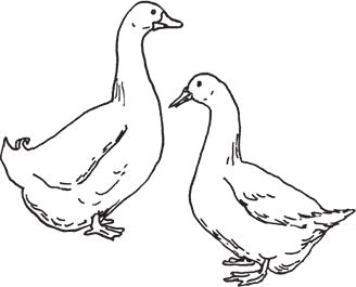 Сергей Кашин - Фермерское хозяйство. Доступное и успешное