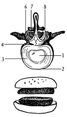 Ирина Калюжнова - Остеохондроз