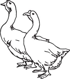 Сергей Кашин - Фермерское хозяйство. Доступное и успешное