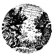 Жак-Ив Кусто, Филипп Диоле - "Калипсо" и кораллы