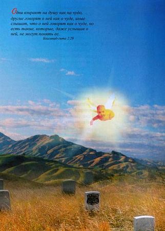 Александр Хакимов - Реинкарнация. Размышления