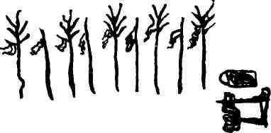 Макс Поляновский, Илья Быков - С букварем у гиляков. Сахалинские дневники...