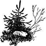 Дмитрий Зуев - Времена года