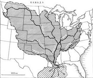 Ричард Флинт - История Земли