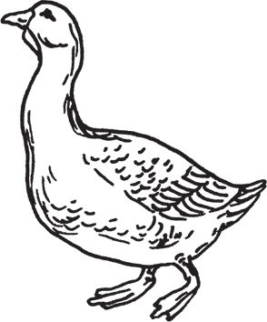 Сергей Кашин - Фермерское хозяйство. Доступное и успешное