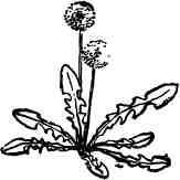 Дмитрий Зуев - Времена года