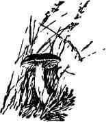 Дмитрий Зуев - Времена года