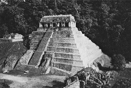 Елена Грицак - Популярная история медицины