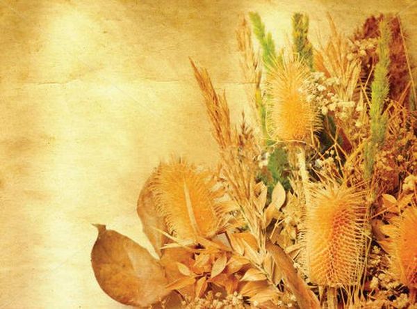 Татьяна Плотникова - Поделки из засушенных цветов и листьев