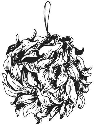 Татьяна Плотникова - Поделки из засушенных цветов и листьев