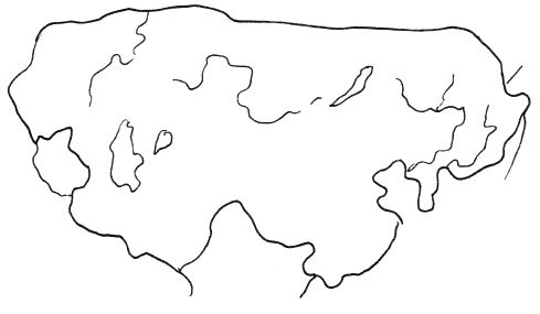 Татьяна Царева, Юлия Матюхина - Великие империи мира