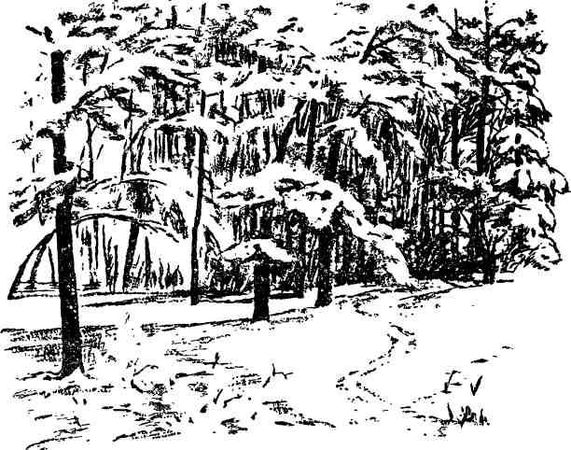 Дмитрий Зуев - Времена года