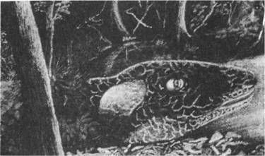 Грэм Хэнкок - Сверхъестественное. Боги и демоны эволюции