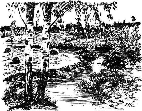 Дмитрий Зуев - Времена года