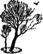 Дмитрий Зуев - Времена года